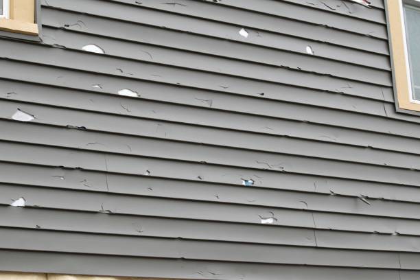 Best Aluminum Siding Installation  in Herndon, VA