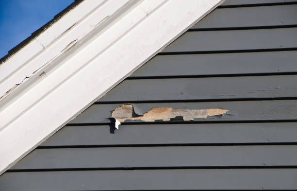 Best Residential Vinyl Siding Installation  in Herndon, VA